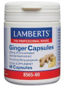 Lamberts Ginger Capsules 12,000mg Extract (60 Capsules) # 8565
